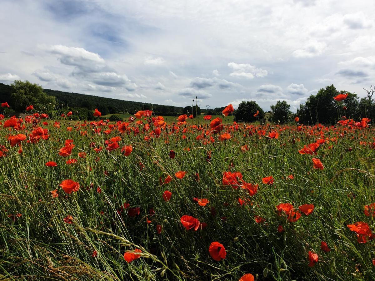 Le Logis Des Autre * Vireux-Wallerand