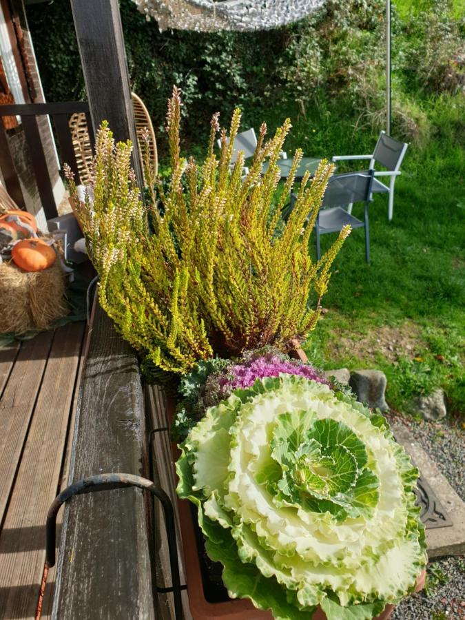 Chalet Le Logis Des Autre Vireux-Wallerand